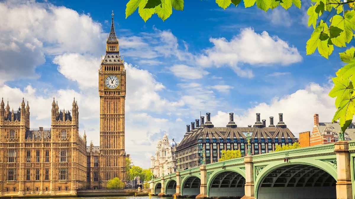 Party Structure English Democrats
